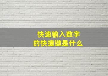 快速输入数字的快捷键是什么