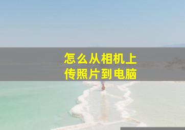 怎么从相机上传照片到电脑