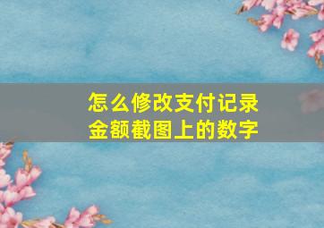 怎么修改支付记录金额截图上的数字