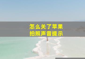 怎么关了苹果拍照声音提示