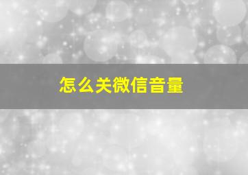 怎么关微信音量