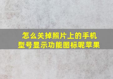 怎么关掉照片上的手机型号显示功能图标呢苹果