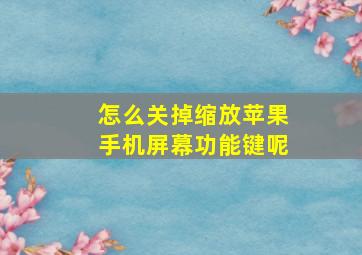 怎么关掉缩放苹果手机屏幕功能键呢