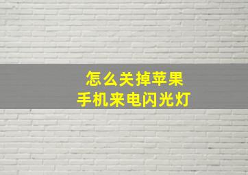 怎么关掉苹果手机来电闪光灯