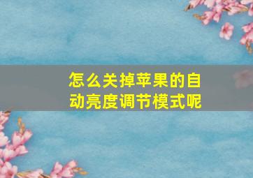 怎么关掉苹果的自动亮度调节模式呢