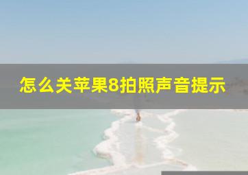 怎么关苹果8拍照声音提示