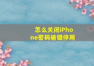 怎么关闭iPhone密码输错停用