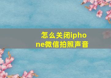 怎么关闭iphone微信拍照声音