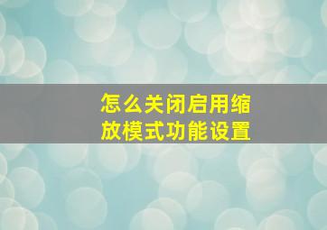 怎么关闭启用缩放模式功能设置