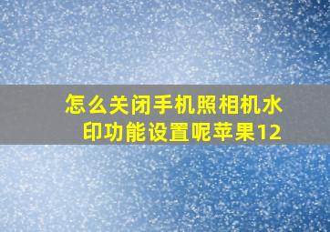 怎么关闭手机照相机水印功能设置呢苹果12