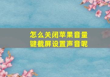 怎么关闭苹果音量键截屏设置声音呢