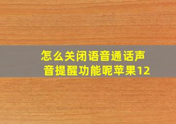 怎么关闭语音通话声音提醒功能呢苹果12