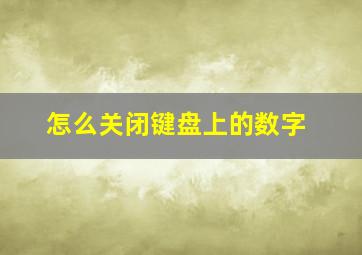 怎么关闭键盘上的数字