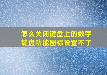 怎么关闭键盘上的数字键盘功能图标设置不了