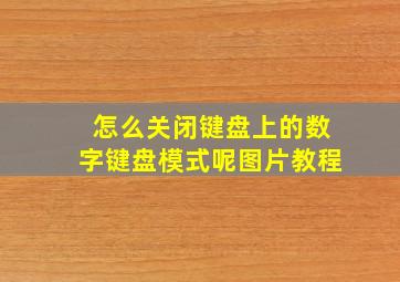 怎么关闭键盘上的数字键盘模式呢图片教程