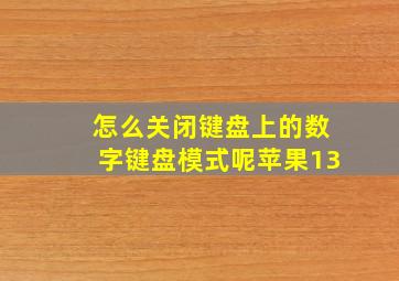 怎么关闭键盘上的数字键盘模式呢苹果13