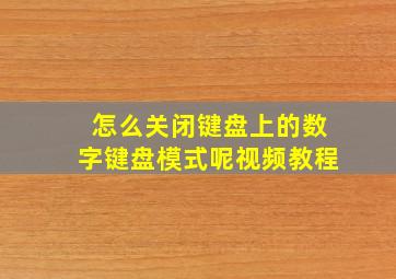 怎么关闭键盘上的数字键盘模式呢视频教程