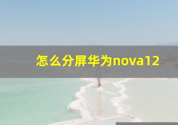 怎么分屏华为nova12