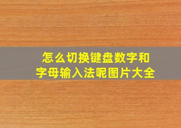 怎么切换键盘数字和字母输入法呢图片大全