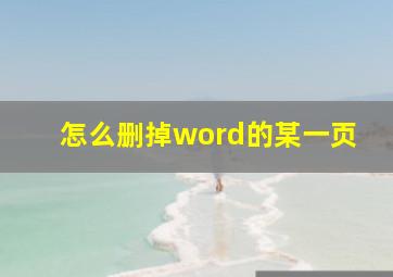 怎么删掉word的某一页