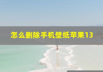 怎么删除手机壁纸苹果13