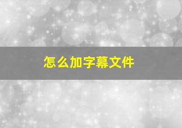 怎么加字幕文件