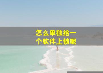 怎么单独给一个软件上锁呢