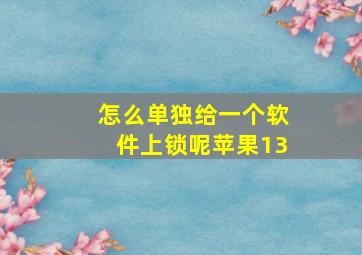 怎么单独给一个软件上锁呢苹果13