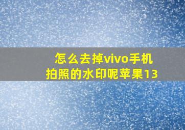 怎么去掉vivo手机拍照的水印呢苹果13