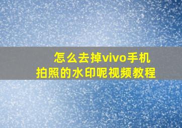 怎么去掉vivo手机拍照的水印呢视频教程