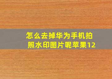 怎么去掉华为手机拍照水印图片呢苹果12