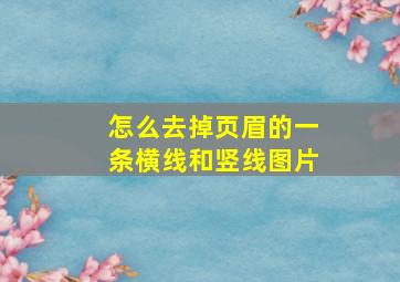 怎么去掉页眉的一条横线和竖线图片