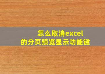 怎么取消excel的分页预览显示功能键