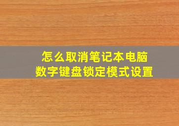 怎么取消笔记本电脑数字键盘锁定模式设置