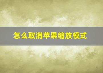 怎么取消苹果缩放模式