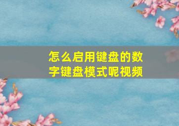 怎么启用键盘的数字键盘模式呢视频