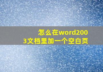 怎么在word2003文档里加一个空白页