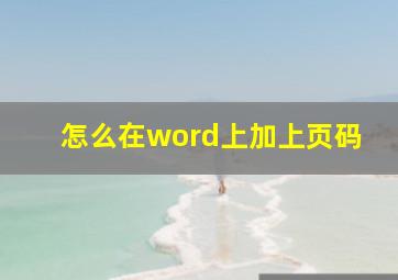 怎么在word上加上页码