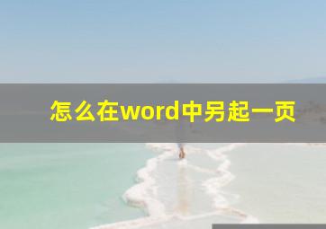 怎么在word中另起一页