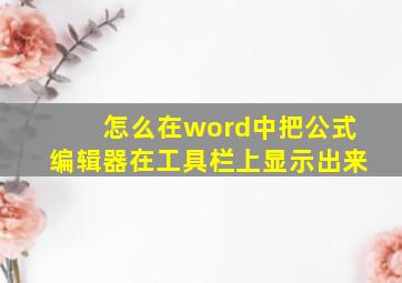 怎么在word中把公式编辑器在工具栏上显示出来