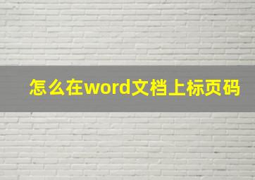 怎么在word文档上标页码