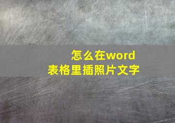 怎么在word表格里插照片文字