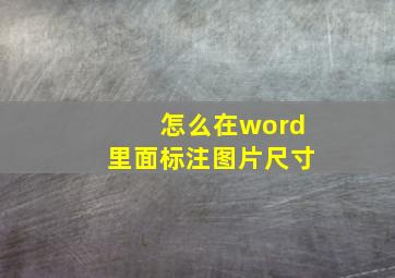 怎么在word里面标注图片尺寸