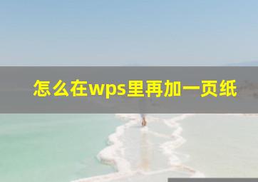 怎么在wps里再加一页纸