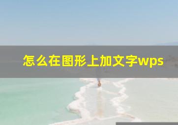 怎么在图形上加文字wps