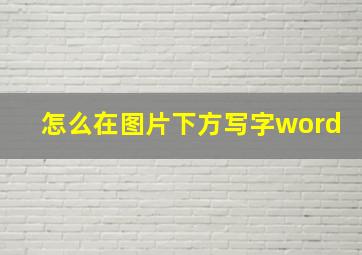 怎么在图片下方写字word