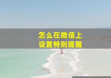 怎么在微信上设置特别提醒