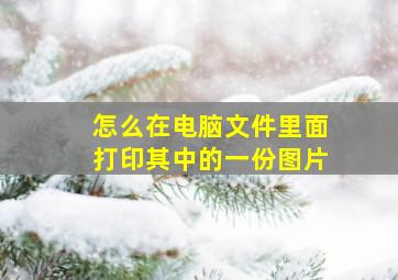 怎么在电脑文件里面打印其中的一份图片