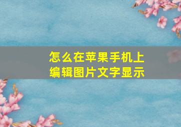 怎么在苹果手机上编辑图片文字显示