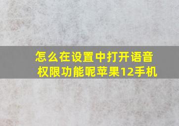 怎么在设置中打开语音权限功能呢苹果12手机